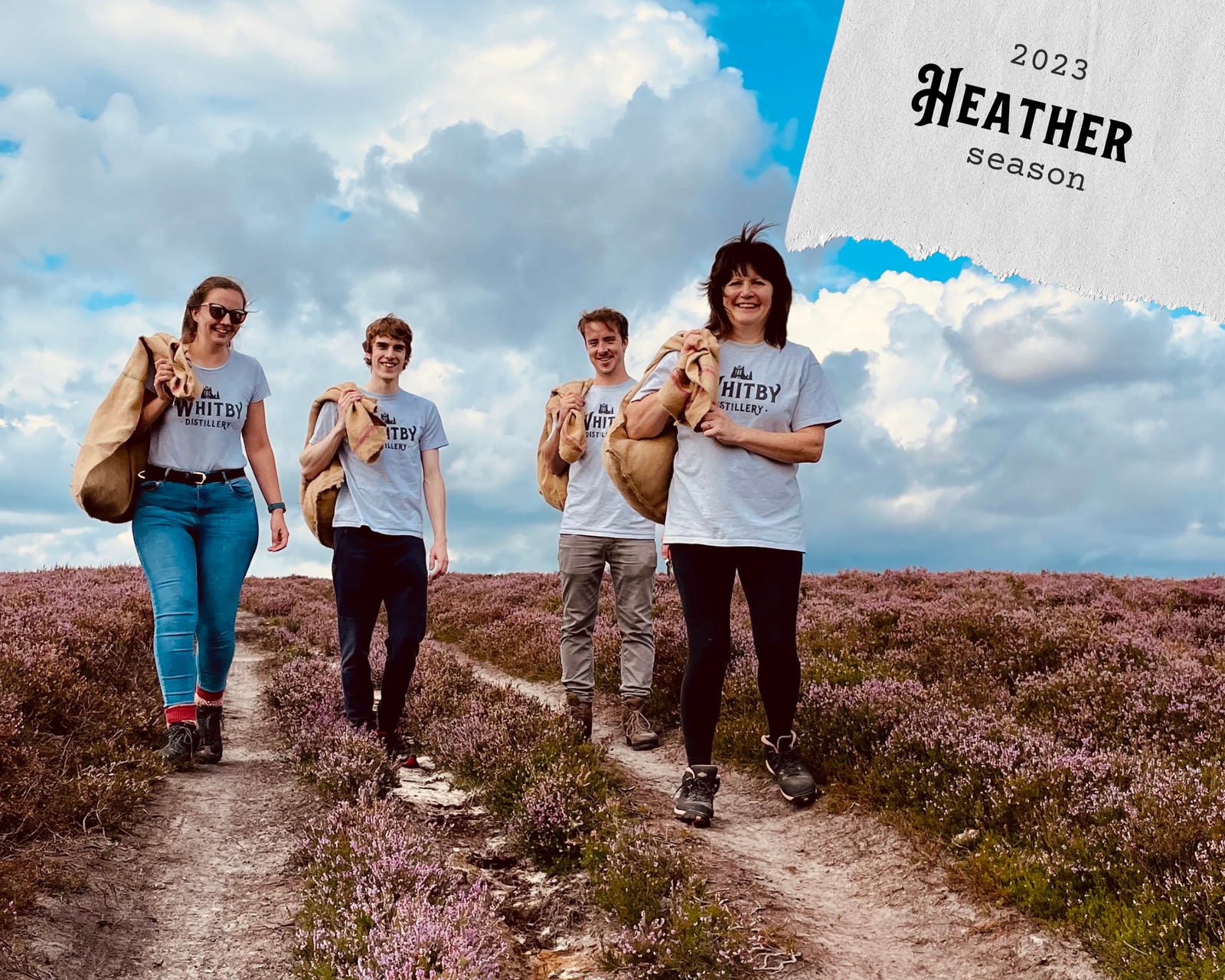 Coastal Gin Magic: Foraging Heather for the Perfect Seaside Infusion