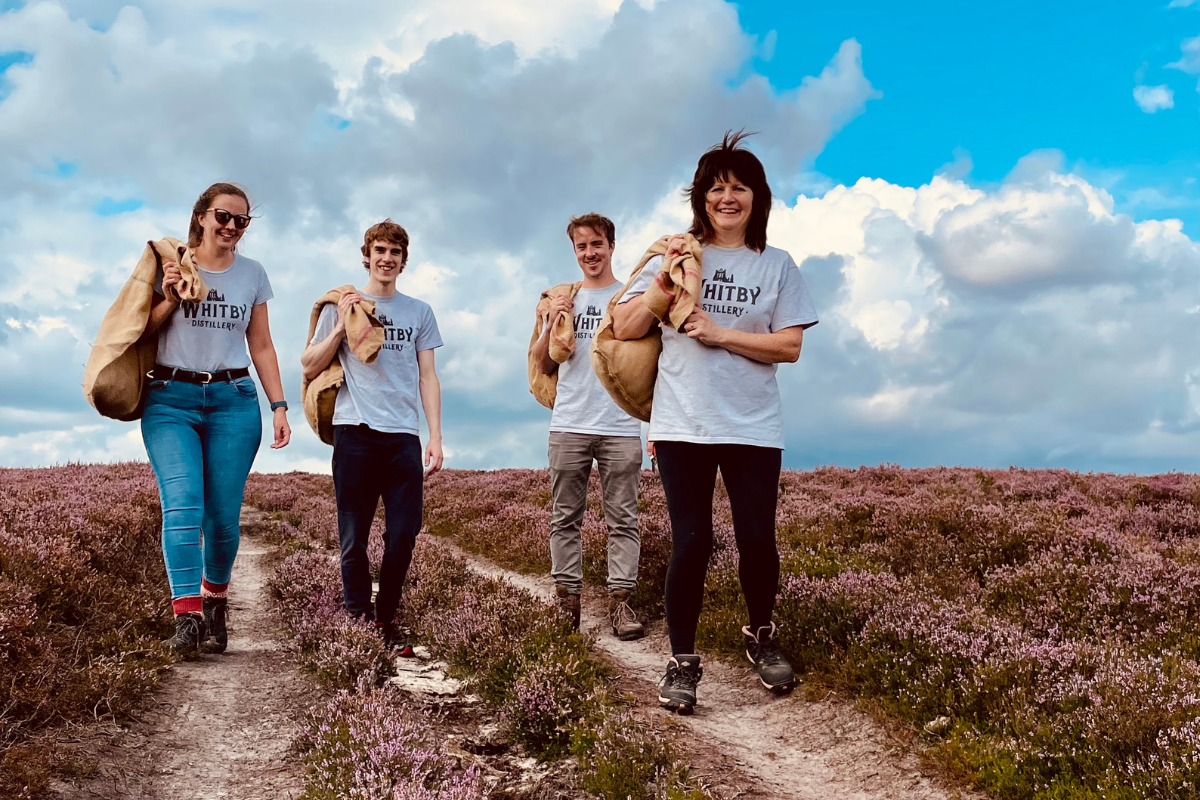 Why We Forage Ling Heather from the North York Moors