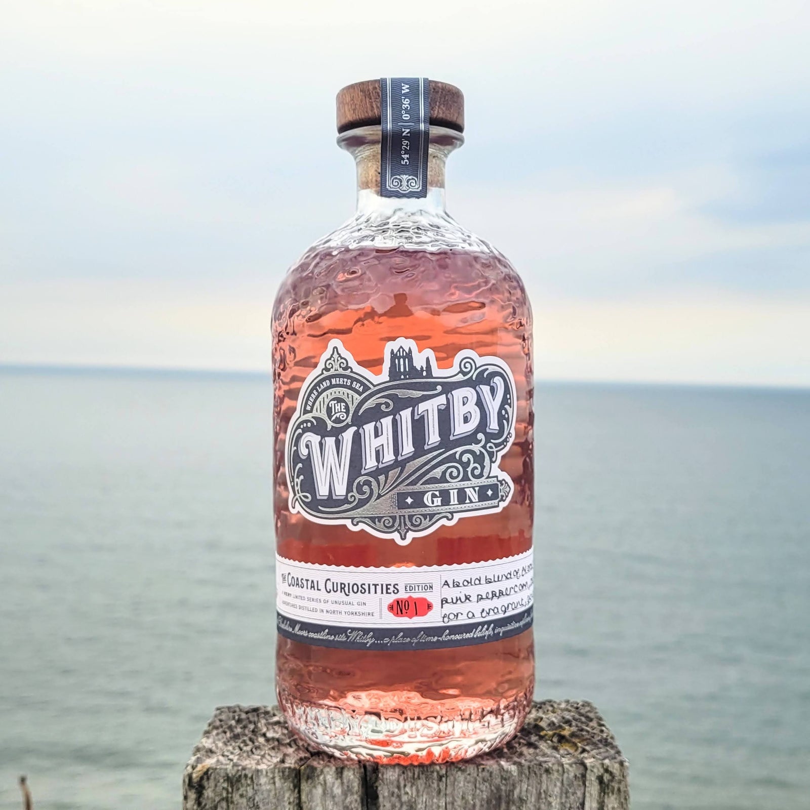 Introducing Our New Coastal Curiosity