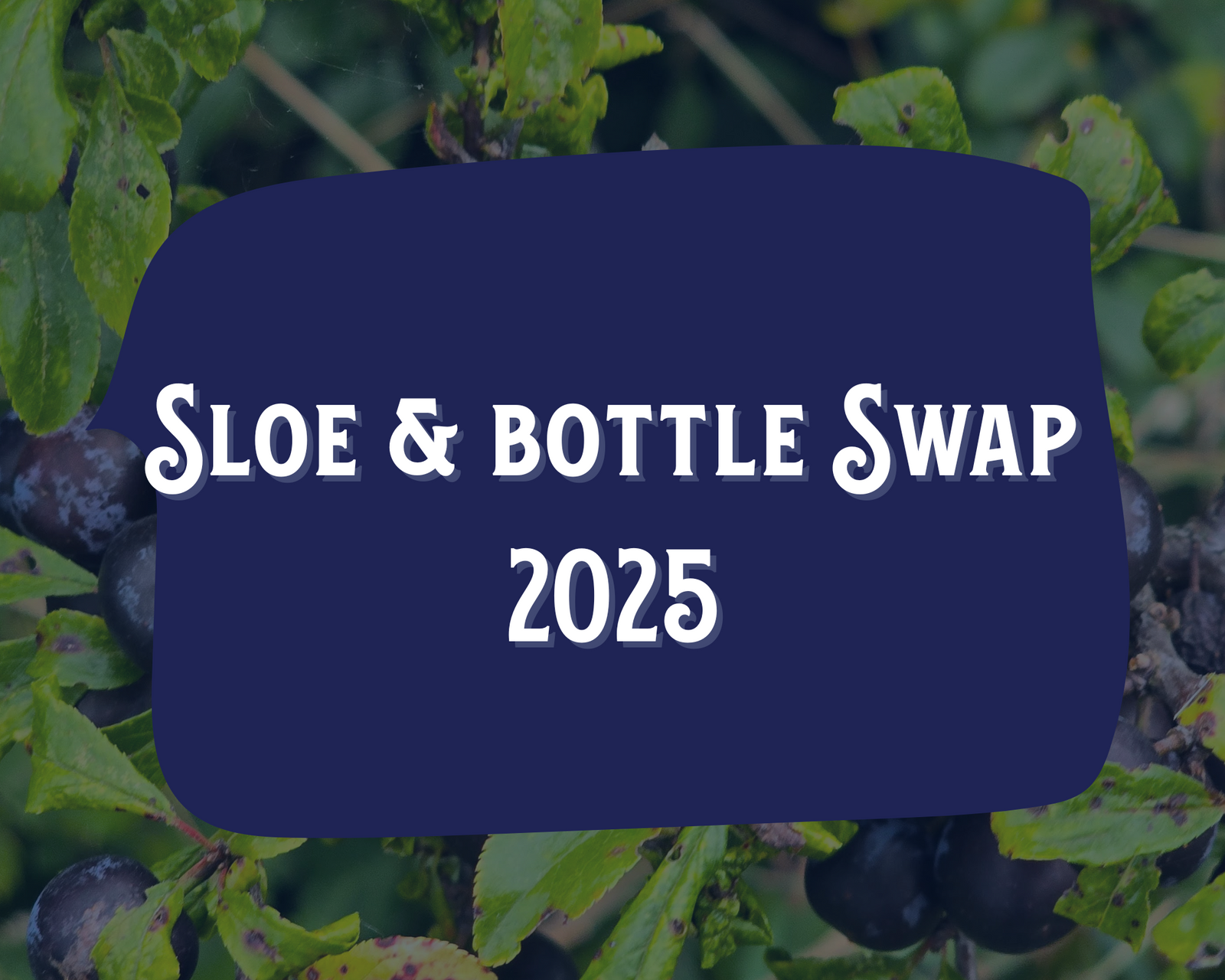Whitby Distillery Sloe and Bottle Swap 2025