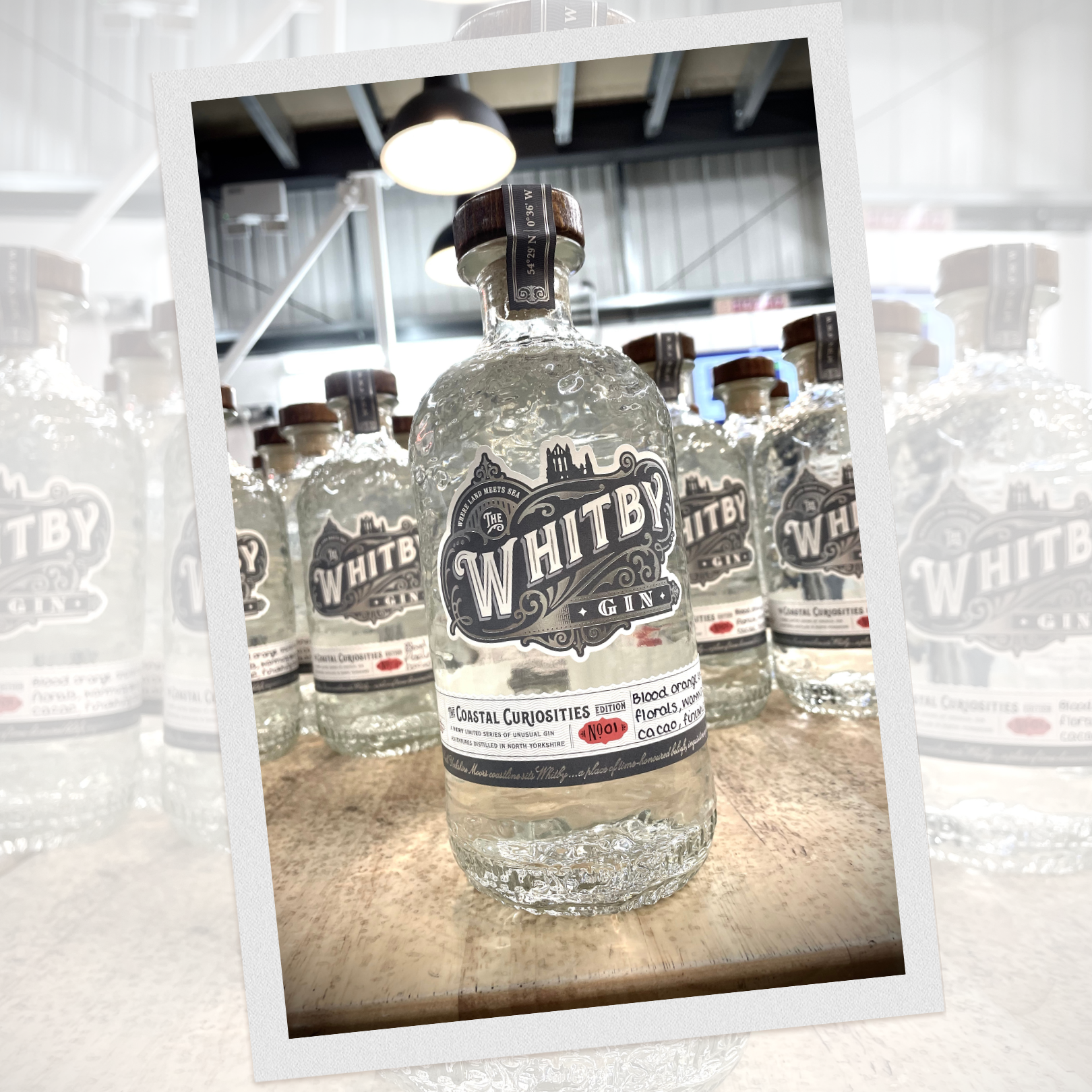 Coastal Curiosity - Blood Orange &amp; Cacao Edition