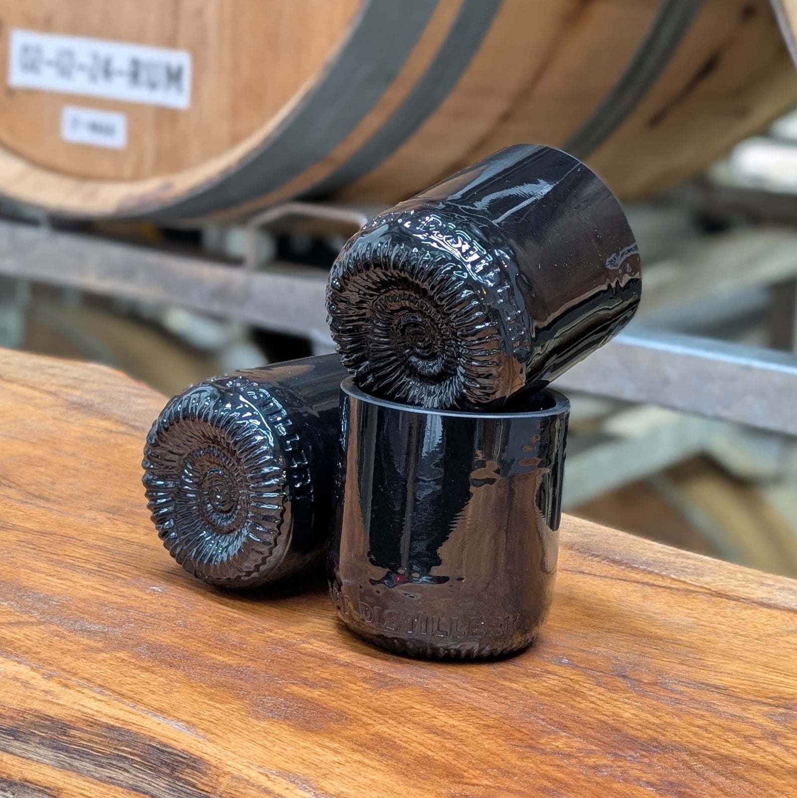 Whitby Ammonite Tumbler Glass - Gothic Edition